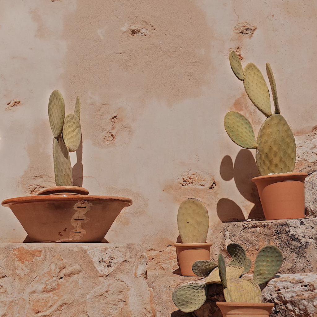 Professional branding cinematographer and photographer in Mallorca for creative entrepreneurs and luxury fashion films.